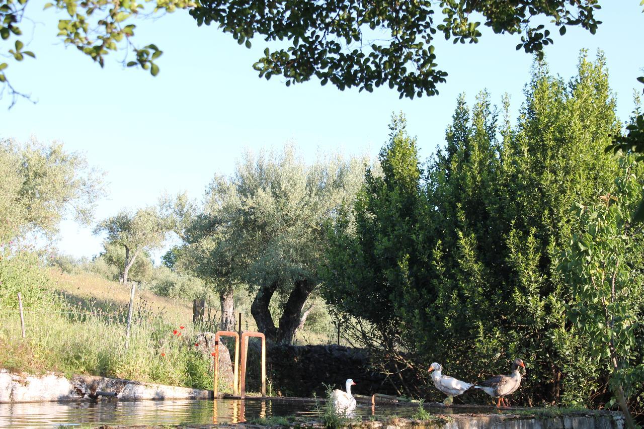 Finca La Carnicera Constantina Exterior foto