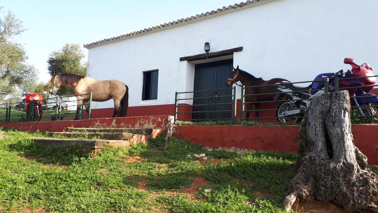 Finca La Carnicera Constantina Exterior foto
